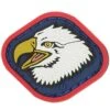 Eagle Head Morale Patch -Bag Shop EGHDC detail